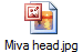 Miva head.jpg